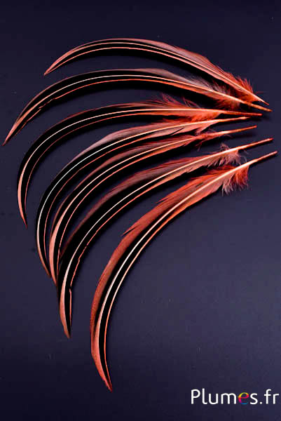 Canard Mandarin - 15-20 cm - saumon rosé